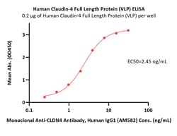 ACROBiosystems Human Claudin-4 Full Length Protein (VLP), Quantity: Each