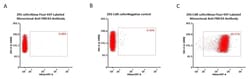 ACROBiosystems Alexa Fluor 647-Labeled Monoclonal Anti-FMC63 Antibody,