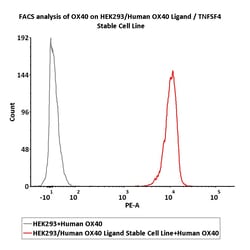 ACROBiosystems HEK293/Human OX40 Ligand / TNFSF4 Stable Cell Line, Quantity: