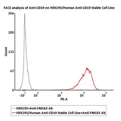 ACROBiosystems&nbsp;HEK293/Human Anti-CD19 Stable Cell Line