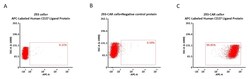 ACROBiosystems APC-Labeled Human CD27 Ligand / CD70 Protein, His TagStar