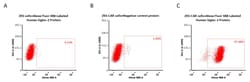 ACROBiosystems Alexa Fluor 488-Labeled Human Siglec-2 / CD22 Protein, His