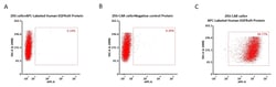 ACROBiosystems APC-Labeled Human EGFRvIII Protein, His TagStar Staining,