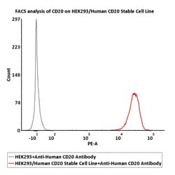 ACROBiosystems HEK293/Human CD20 Stable Cell Line, Quantity: Each of 1
