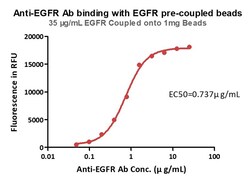 ACROBiosystems Human EGFR-coupled Magnetic Beads, Quantity: Each of 1