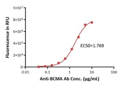 ACROBiosystems&nbsp;Human BCMA-coupled Magnetic Beads