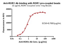 ACROBiosystems&nbsp;Human ROR1-coupled Magnetic Beads