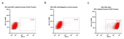 ACROBiosystems APC-Labeled Human FOLR1 Protein, His TagStar Staining, Quantity: