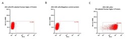 ACROBiosystems PE-Labeled Human Siglec-3 / CD33 Protein, His TagStar Staining,
