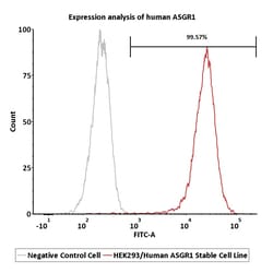 ACROBiosystems HEK293/Human ASGR1 Stable Cell Line, Quantity: Each of 1