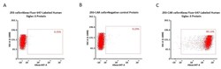 ACROBiosystems Alexa Fluor 647-Labeled Human Siglec-3 / CD33 Protein, His