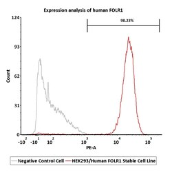 ACROBiosystems&nbsp;HEK293/Human FOLR1 Stable Cell Line
