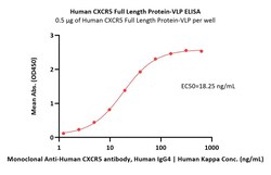 ACROBiosystems Human CXCR5 Full Length Protein (VLP), Quantity: Each of