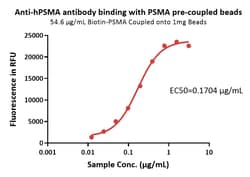 ACROBiosystems Human PSMA-coupled Magnetic Beads, Quantity: Each of 1