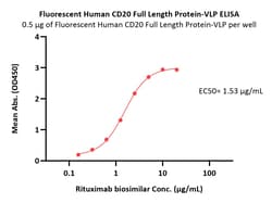 ACROBiosystems Fluorescent Human CD20 Full Length Protein (VLP), Quantity: