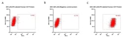 ACROBiosystems PE-Labeled Human CD7 Protein, His TagStar Staining, Quantity: