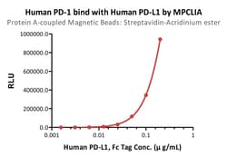 ACROBiosystems&nbsp;Protein A-coupled Magnetic Beads (recommended for MPCLIA)