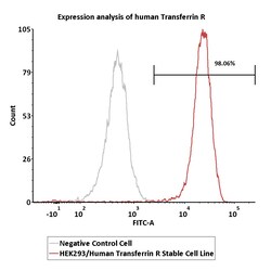 ACROBiosystems&nbsp;HEK293/Human Transferrin R Stable Cell Line