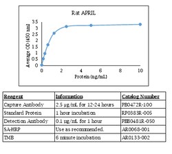 Kingfisher Biotech Inc Rat APRIL (TNFSF13) Polyclonal Antibody (100 ug),