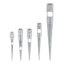 Alkali Scientific 1000µl PurePoint Filter Pipet Tips, Sterile (8 racks