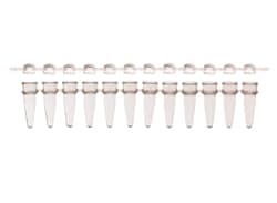 Alkali Scientific ProCycle 0.2mL 12-Strip PCR Tubes and 12-Strip Dome Caps