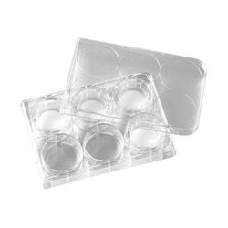 Alkali Scientific Ultra Low Attachment Plate, 6 Well, Single Wrapped, Sterile,
