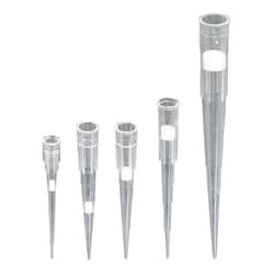 Alkali Scientific&nbsp;50µl PurePoint&trade; Filter Pipet Tips, Sterile (10 racks of 96) 960/cs