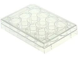 Alkali Scientific CellPro 12 Well Cell Culture Plate with Lid, Flat, TC