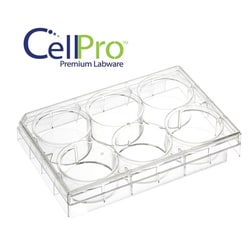 Alkali Scientific CellPro™ 6 Well Cell Culture Plate with Lid, Flat, TC treated, Sterile 1/pk, 50/cs