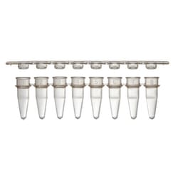 Alkali Scientific ProCycle™ 0.2mL 8-Strip PCR Tubes with Separate Flat Strip Caps 125 X 8, 1000/cs