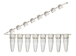 Alkali Scientific ProCycle™ 0.2mL Clear with Attached Hinged Domed Cap Strip, 125x8, 1000/pk