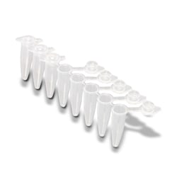 Alkali Scientific ProCycle 0.2mL StableStrip 8-Strip PCR Tubes with Attached