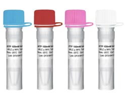 Alkali Scientific&nbsp;Radiant&trade; dNTP Set, Concentration (4 x 100mM, 4 x 1mL)