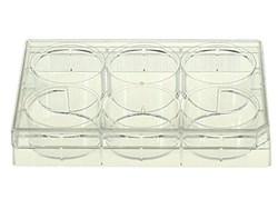 Alkali Scientific CellPro™ 6 Well Cell Culture Plate, Flat, Non-Treated, Sterile 1/pk, 50/cs