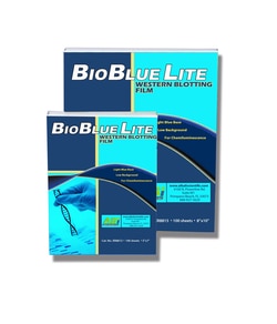Alkali Scientific 5 x 7 inch BioBlue-Lite™  Western Blot Film, 100 sheets