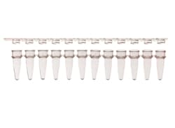 Alkali Scientific 12-Strip Tubes and 12-Strip Flat Caps, Packed Together, 80 Strips/pk
