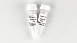 New England Biolabs, Inc.&nbsp;EnGen Spy Cas9 HF1 - 2500 pmol