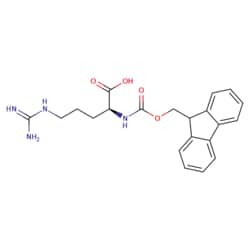 STA PHARMACEUTICAL US LLC&nbsp;Fmoc-L-Arg-OH | 1 g | CAS 91000-69-0 | MDL MFCD30176373