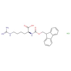 STA PHARMACEUTICAL US LLC&nbsp;Fmoc-L-hArg-OH HCl | 10 g | CAS 208174-14-5 | MDL MFCD07357322