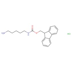 STA PHARMACEUTICAL US LLC&nbsp;N-Fmoc-1,5-diaminopentane HCl | 25 g | CAS 177333-17-4 | MDL MFCD00832511