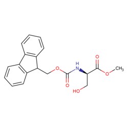 STA PHARMACEUTICAL US LLC Fmoc-D-Ser-OMe | 10 g | CAS 874817-14-8 | InChIKey