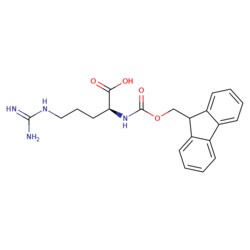 STA PHARMACEUTICAL US LLC&nbsp;Fmoc-L-Arg-OH | 10 g | CAS 91000-69-0 | MDL MFCD30176373
