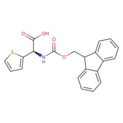 STA PHARMACEUTICAL US LLC&nbsp;Fmoc-(R)-2-Thienylglycine | 1 g | CAS 208259-66-9 | MDL MFCD02094452