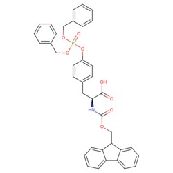 STA PHARMACEUTICAL US LLC&nbsp;Fmoc-L-Tyr(PO3Bzl2)-OH | 10 g | CAS 134150-51-9 | MDL MFCD01863045