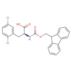 STA PHARMACEUTICAL US LLC&nbsp;Fmoc-L-Phe(2,5-DiCl)-OH | 100 g | CAS 1260614-80-9 | MDL MFCD07372021