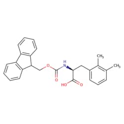 STA PHARMACEUTICAL US LLC&nbsp;Fmoc-L-2,3-Dimethylphe | 10 g | CAS 1270295-08-3 | MDL MFCD09842054
