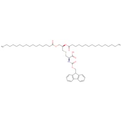 STA PHARMACEUTICAL US LLC&nbsp;Fmoc-(R)Pam2-L-Cys | 100 g | CAS 139573-77-6 | InChIKey HNJKCVLFJLXANK-MDZGPYHSSA-N