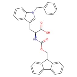 STA PHARMACEUTICAL US LLC Fmoc-L-Trp(1-Bzl)-OH | 10 g | CAS 260403-69-8