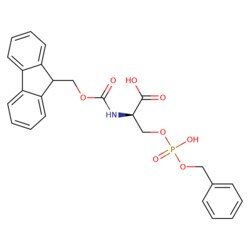 STA PHARMACEUTICAL US LLC&nbsp;Fmoc-D-Ser(HPO3Bzl)-OH | 10 g | CAS 1212481-01-0 | MDL MFCD06657920
