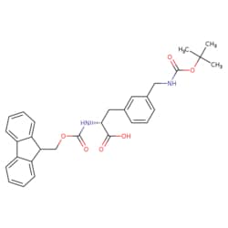 STA PHARMACEUTICAL US LLC&nbsp;Fmoc-D-3-Aminomethylphe(Boc) | 25 g | CAS 1217665-54-7 | MDL MFCD03093567